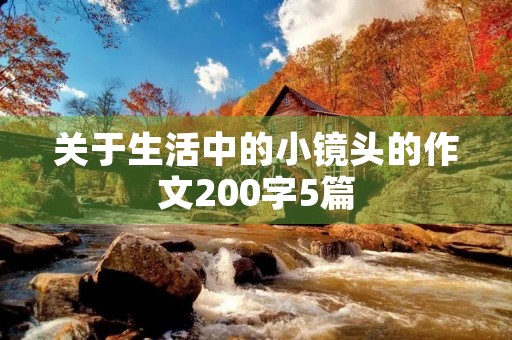 关于生活中的小镜头的作文200字5篇