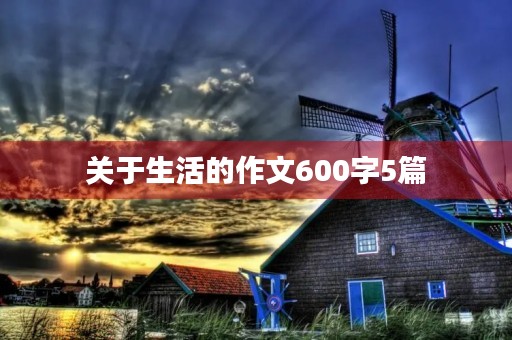 关于生活的作文600字5篇