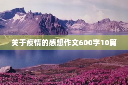 关于疫情的感想作文600字10篇