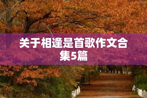 关于相逢是首歌作文合集5篇