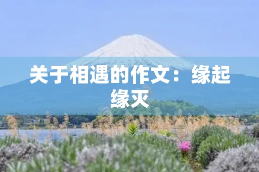 关于相遇的作文：缘起缘灭