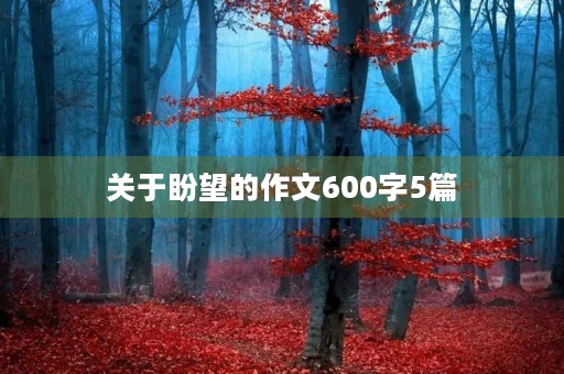 关于盼望的作文600字5篇