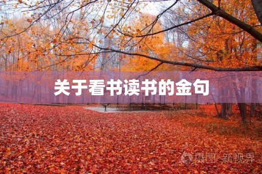 关于看书读书的金句,十句关于读书的名言 关于看书读书的金句,十句关于读书的名言