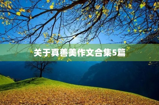关于***作文合集5篇 关于***作文合集5篇