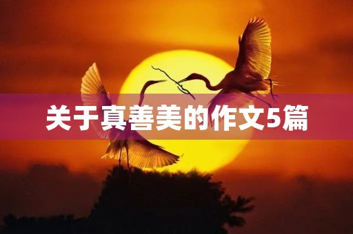 关于***的作文5篇