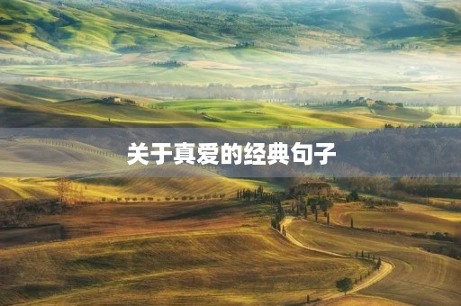 关于真爱的经典句子(最感动真爱的语句) 关于真爱的经典句子(最感动真爱的语句)