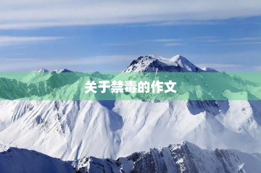关于禁毒的作文