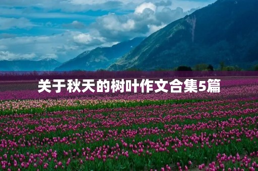 关于秋天的树叶作文合集5篇
