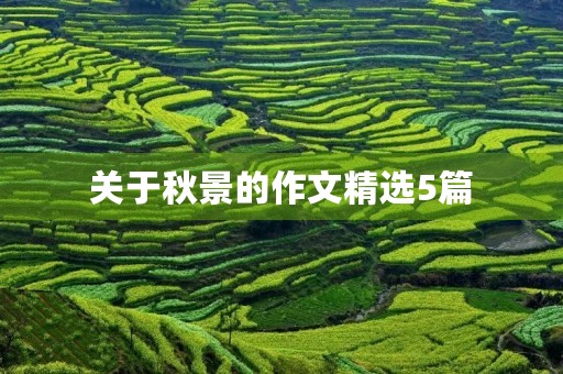 关于秋景的作文精选5篇
