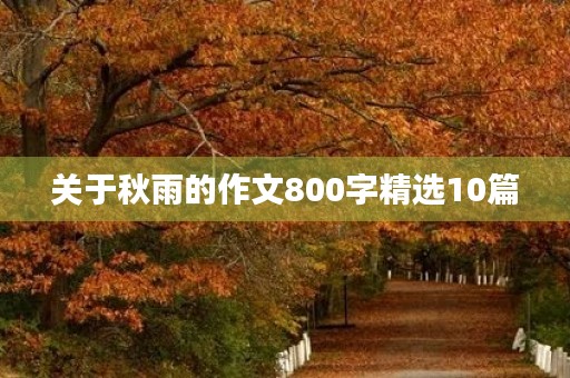 关于秋雨的作文800字精选10篇