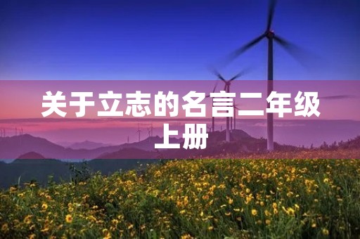 关于立志的名言二年级上册(关于立志的名言名句二年级)