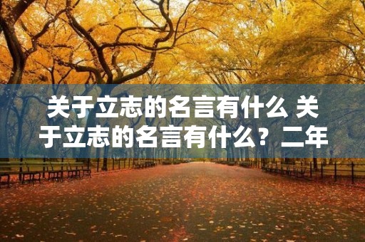 关于立志的名言有什么 关于立志的名言有什么?二年级 关于立志的名言有什么 关于立志的名言有什么?二年级