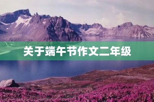 关于端午节作文二年级