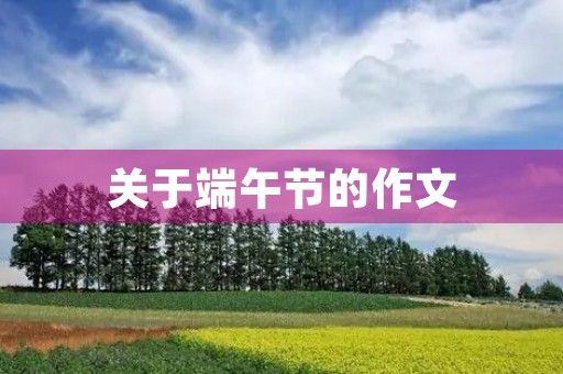 关于端午节的作文