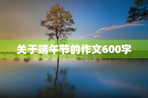 关于端午节的作文600字