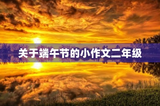 关于端午节的小作文二年级