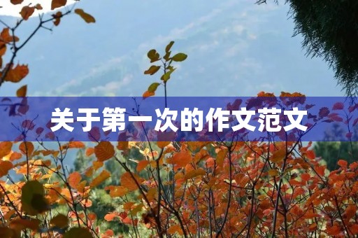 关于第一次的作文范文