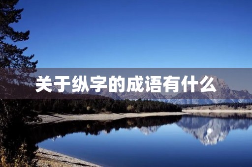 关于纵字的成语有什么
