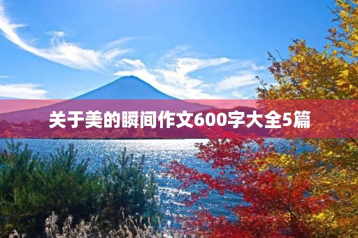 关于美的瞬间作文600字大全5篇 关于美的瞬间作文600字大全5篇