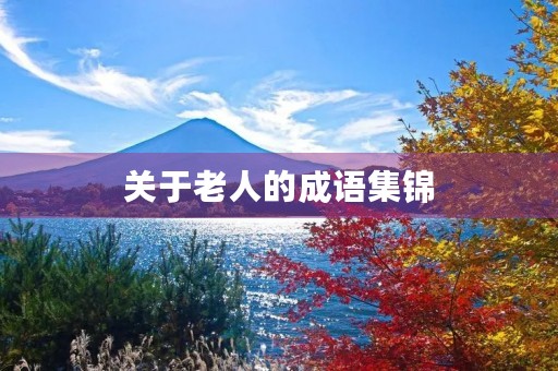 关于老人的成语集锦