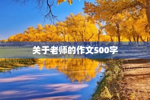 关于老师的作文500字