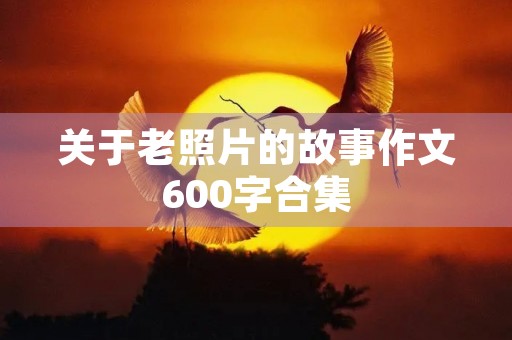关于老照片的故事作文600字合集 关于老照片的故事作文600字合集