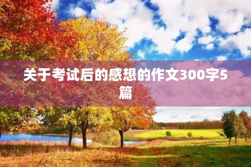 关于考试后的感想的作文300字5篇