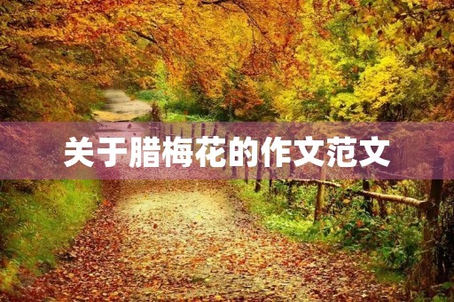 关于腊梅花的作文范文