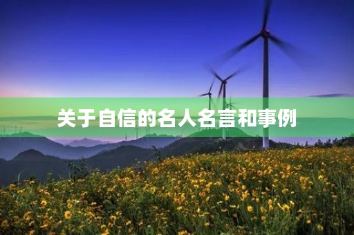 关于自信的名人名言和事例(关于自信的名人名言和事例简短) 关于自信的名人名言和事例(关于自信的名人名言和事例简短)