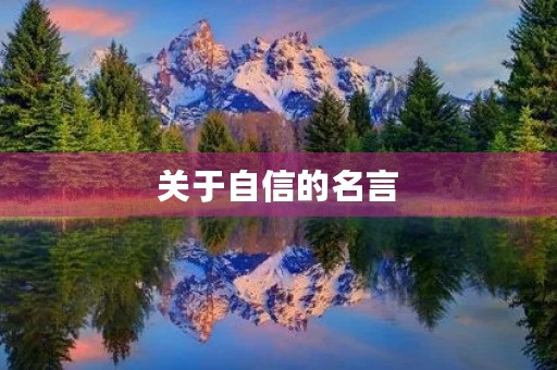 关于自信的名言(以自信为话题的议论文)