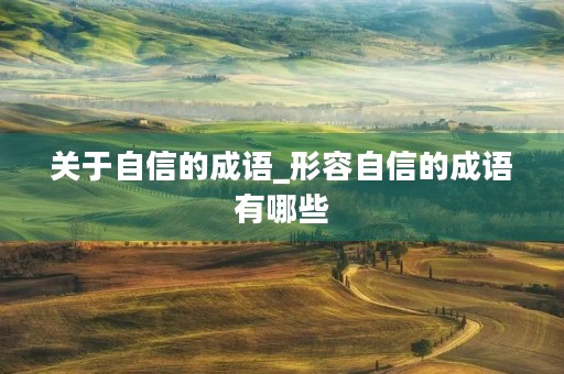 关于自信的成语_形容自信的成语有哪些