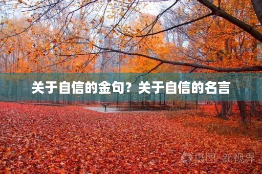 关于自信的金句？关于自信的名言