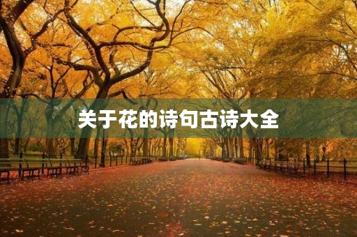 关于花的诗句古诗大全 关于花的诗句古诗大全