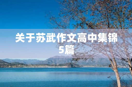 关于苏武作文高中集锦5篇