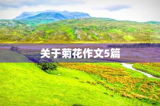 关于菊花作文5篇