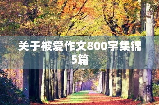 关于被爱作文800字集锦5篇 关于被爱作文800字集锦5篇