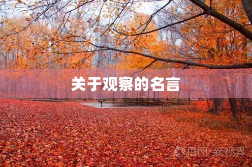 关于观察的名言，善于观察的优美句子