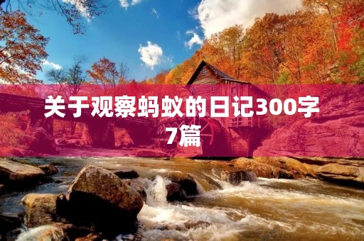 关于观察蚂蚁的日记300字7篇 关于观察蚂蚁的日记300字7篇