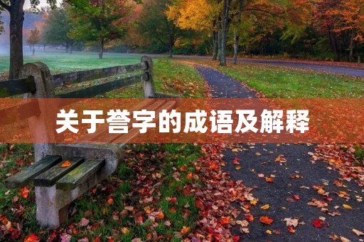 关于誉字的成语及解释