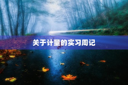 关于计量的实习周记 关于计量的实习周记