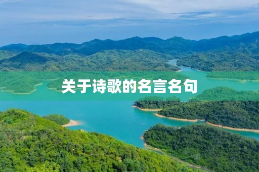 关于诗歌的名言名句(关于诗歌的名言名句四年级)