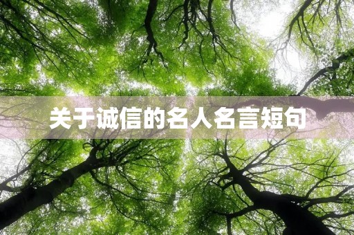 关于诚信的名人名言短句(关于诚信的名人名言短句5-8字) 关于诚信的名人名言短句(关于诚信的名人名言短句5-8字)