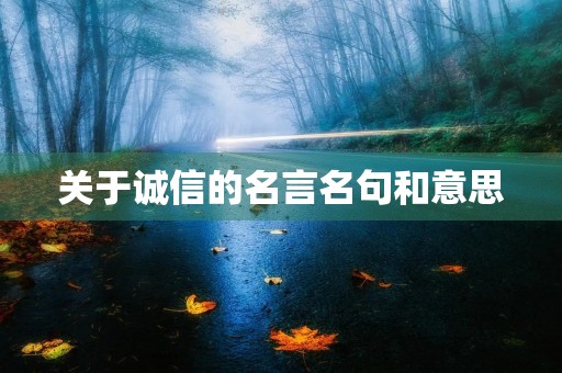关于诚信的名言名句和意思(关于诚信的名言名句和意思有哪些)