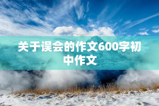 关于误会的作文600字初中作文