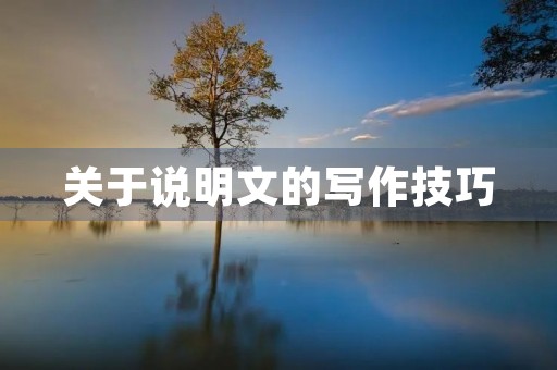 关于说明文的写作技巧