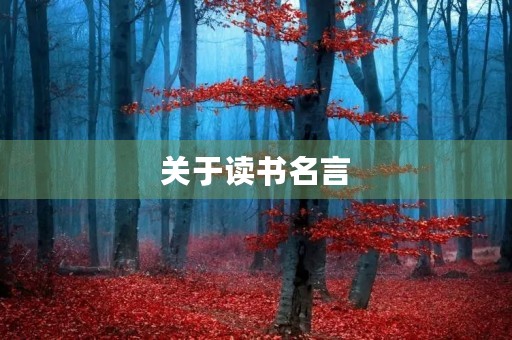 关于读书名言，读书妙语金句