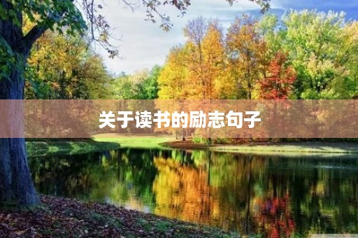 关于读书的励志句子,关于读书的励志句子唯美 关于读书的励志句子,关于读书的励志句子唯美