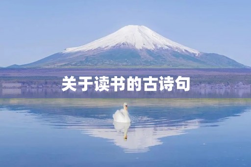 关于读书的古诗句，关于读书的古诗句有哪些