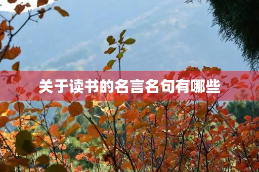 关于读书的名言名句有哪些,四年级关于读书的名言名句有哪些 关于读书的名言名句有哪些,四年级关于读书的名言名句有哪些