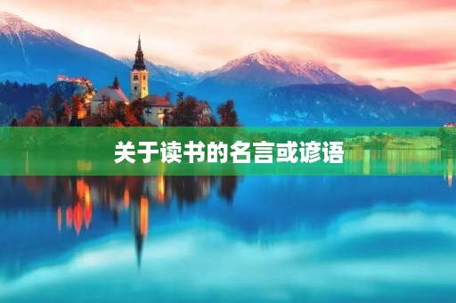 关于读书的名言或谚语(关于读书的名言或谚语简短)